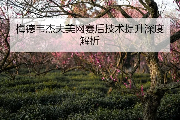 梅德韦杰夫美网赛后技术提升深度解析